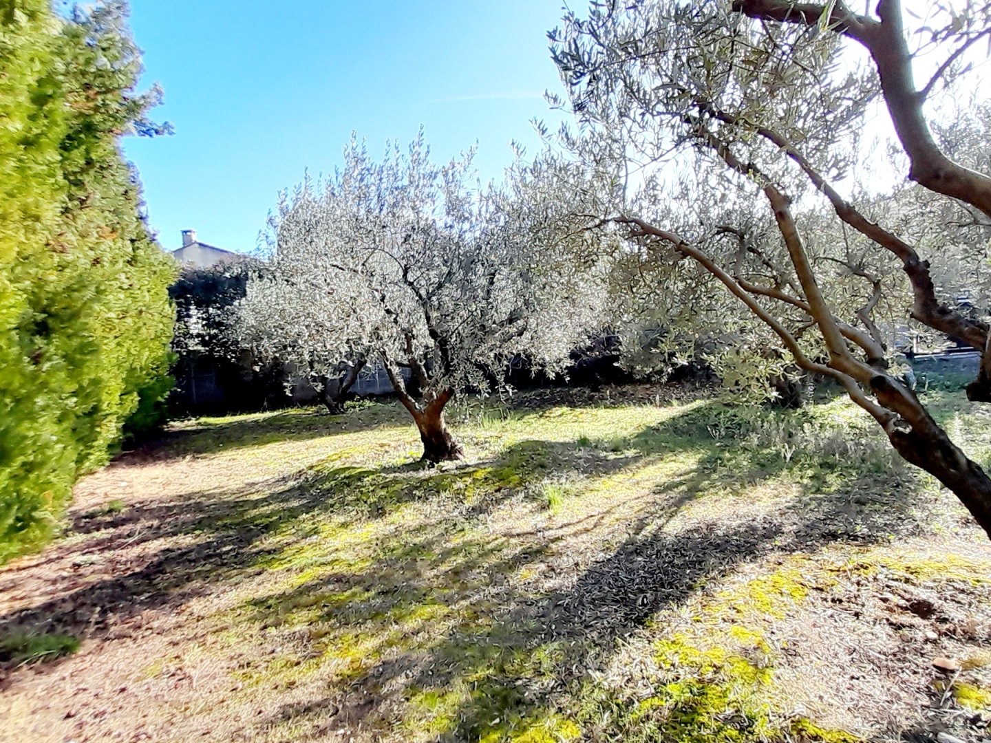 Terrain à vendre - 530m2 - Maubec (84660)