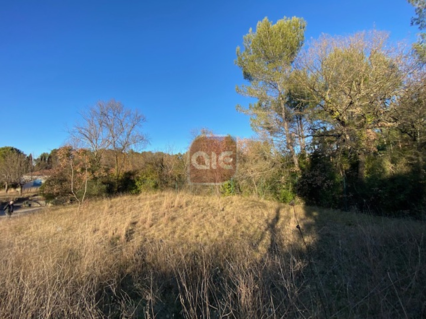 EXCLUSIVITÉ A.I.E. !! Belle parcelle constructible en fond d'impasse à Prades le Lez
