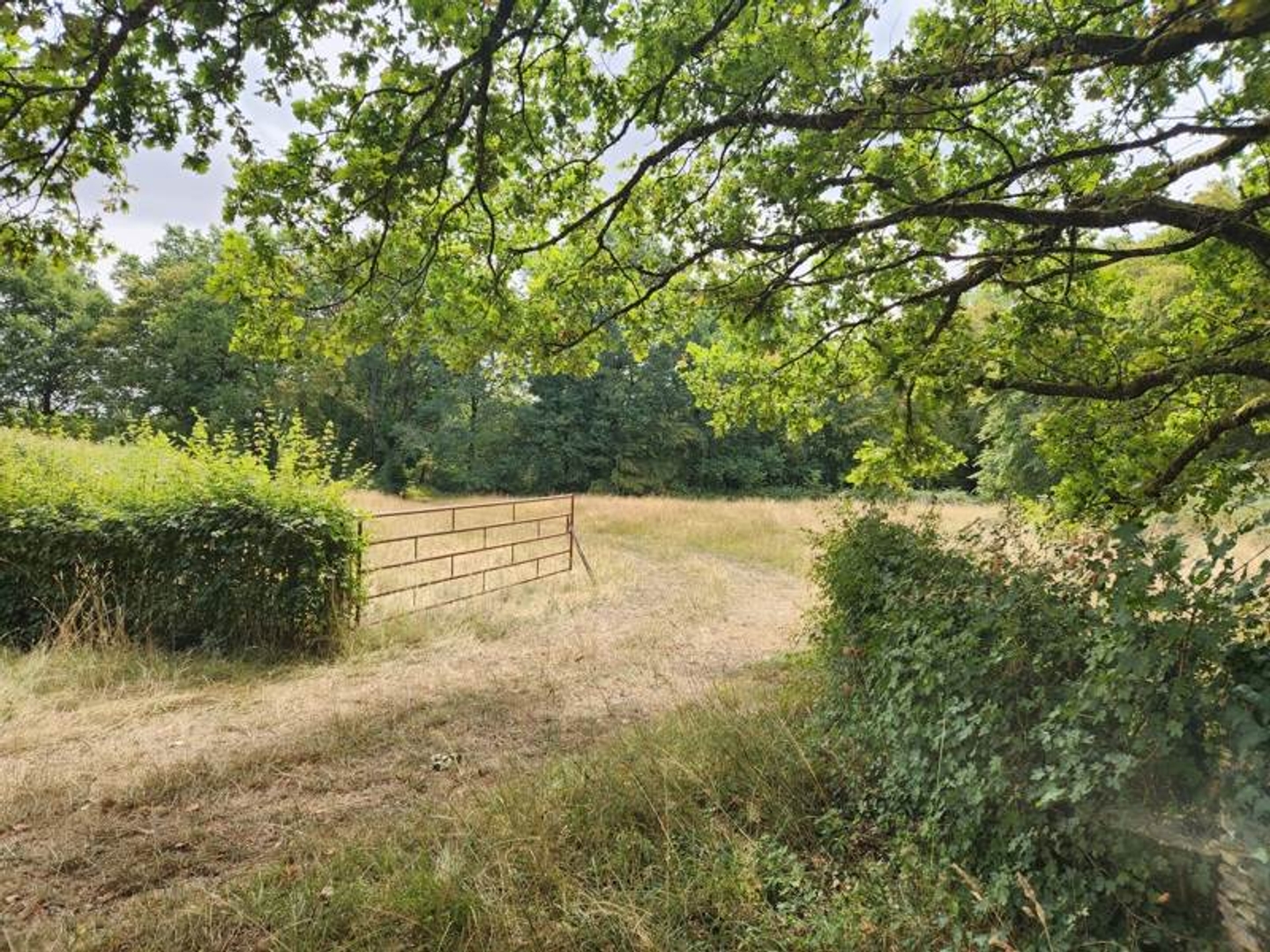 Maison à vendre - 4 pièces - 77m2 - Thaumiers (18210)