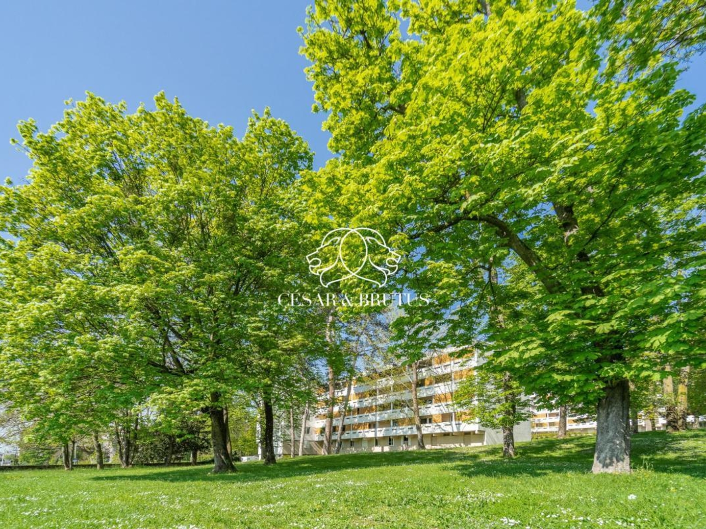 Appartement à vendre - 5 pièces - 84m2 - Lyon 9e (69009)