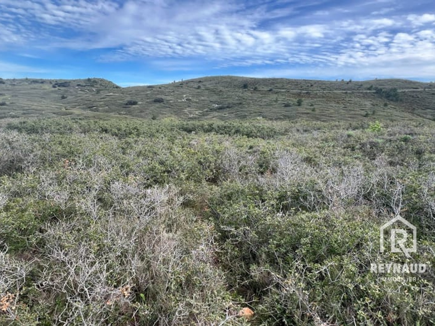 Terrain 41490 m²