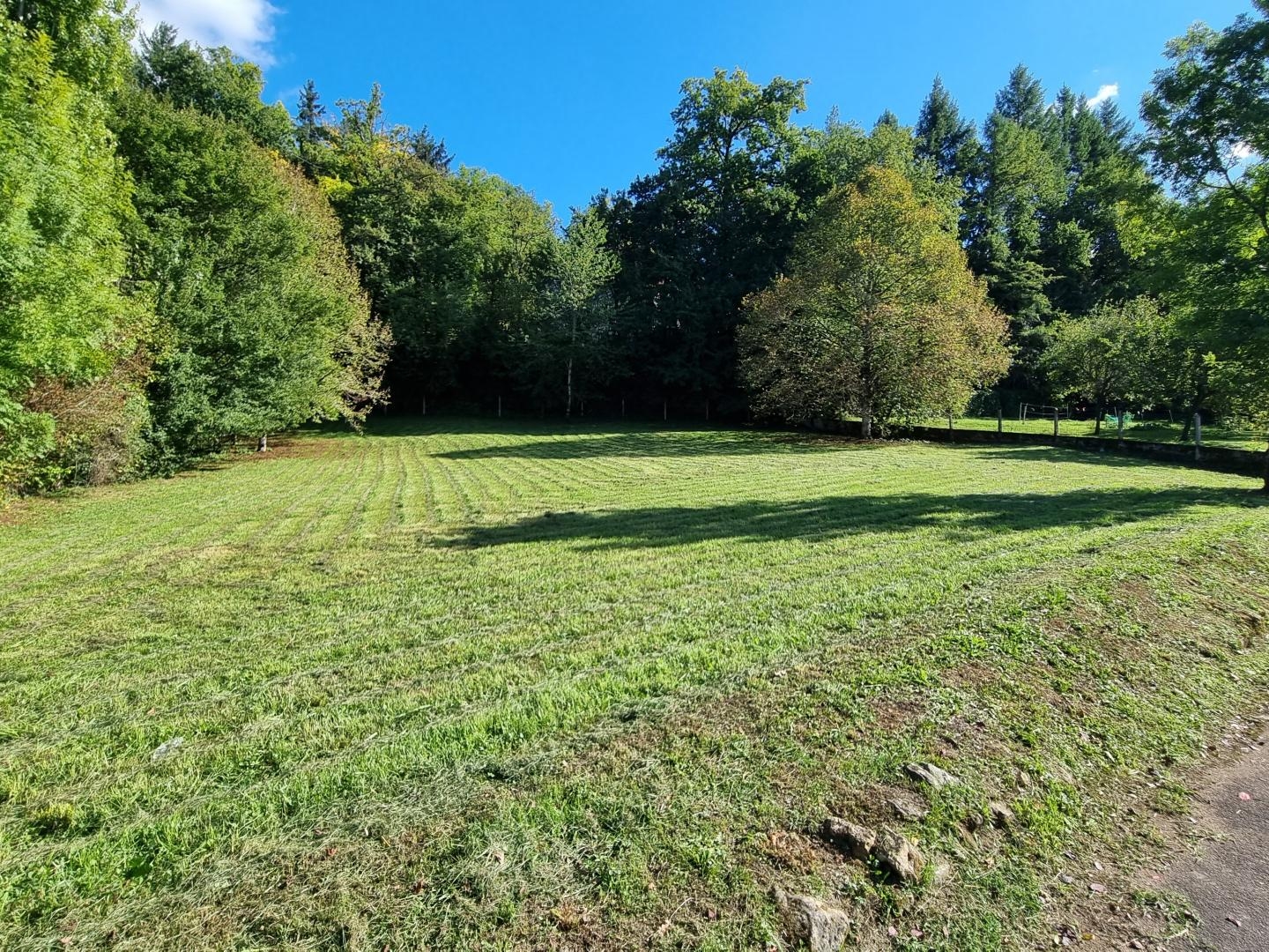 Terrain à vendre - Saint-Pardoux-La-... (24470)