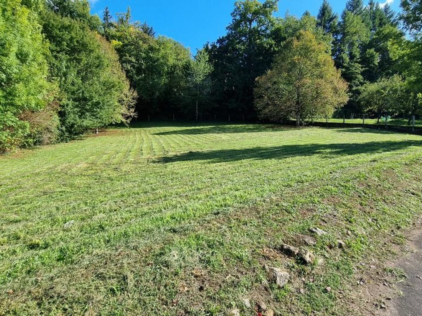 Terrain à vendre - Saint-Pardoux-La-... (24470)