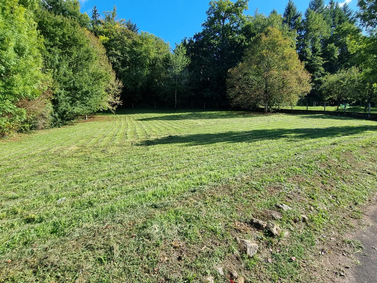 Terrain à vendre - Saint-Pardoux-La-... (24470)