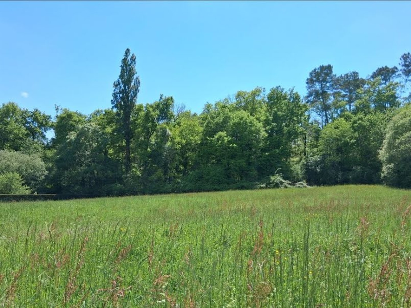 Terrain 1200 m²