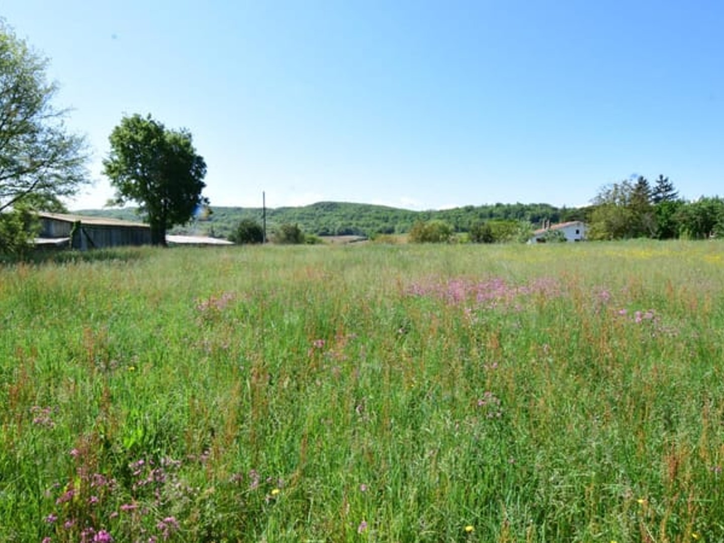 TERRAIN DE 2.446 M² BIEN EXPOSE SECTEUR 'PROCHE AURIGNAC'...