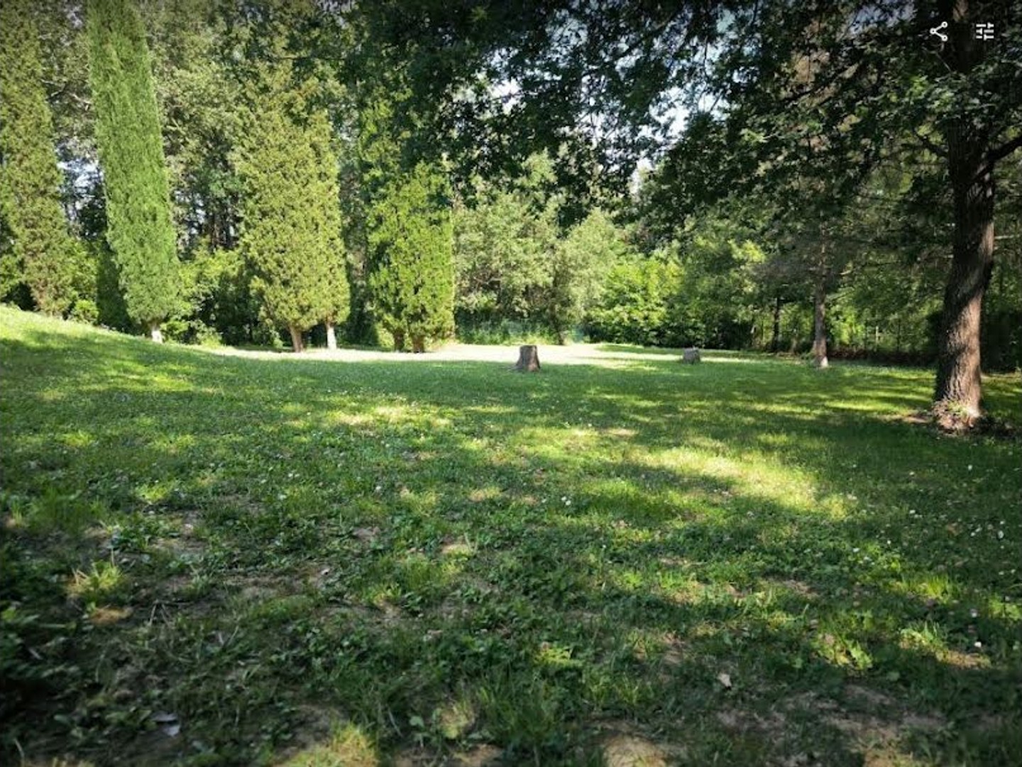 Terrain 1004 m²