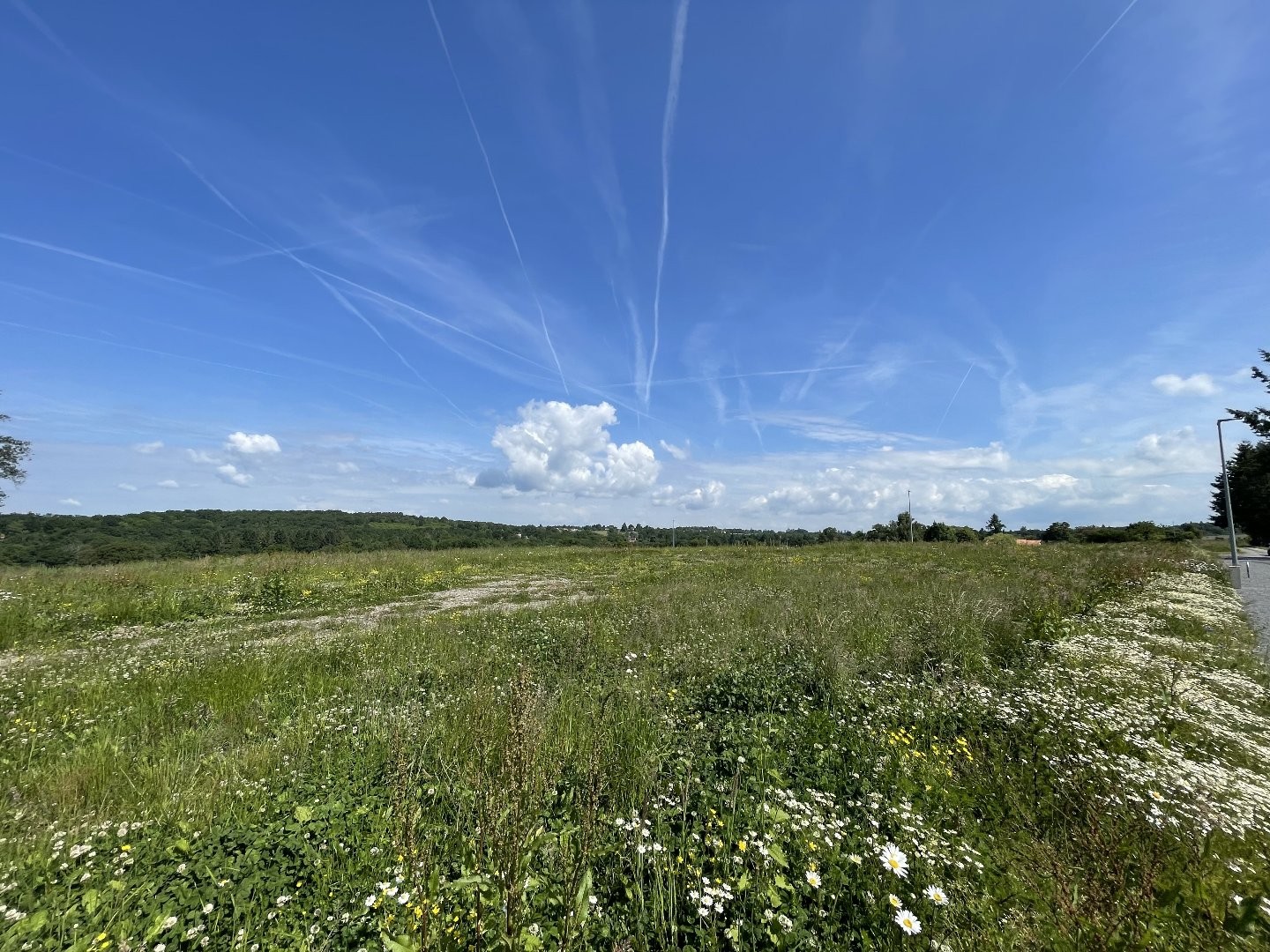 Terrain constructible