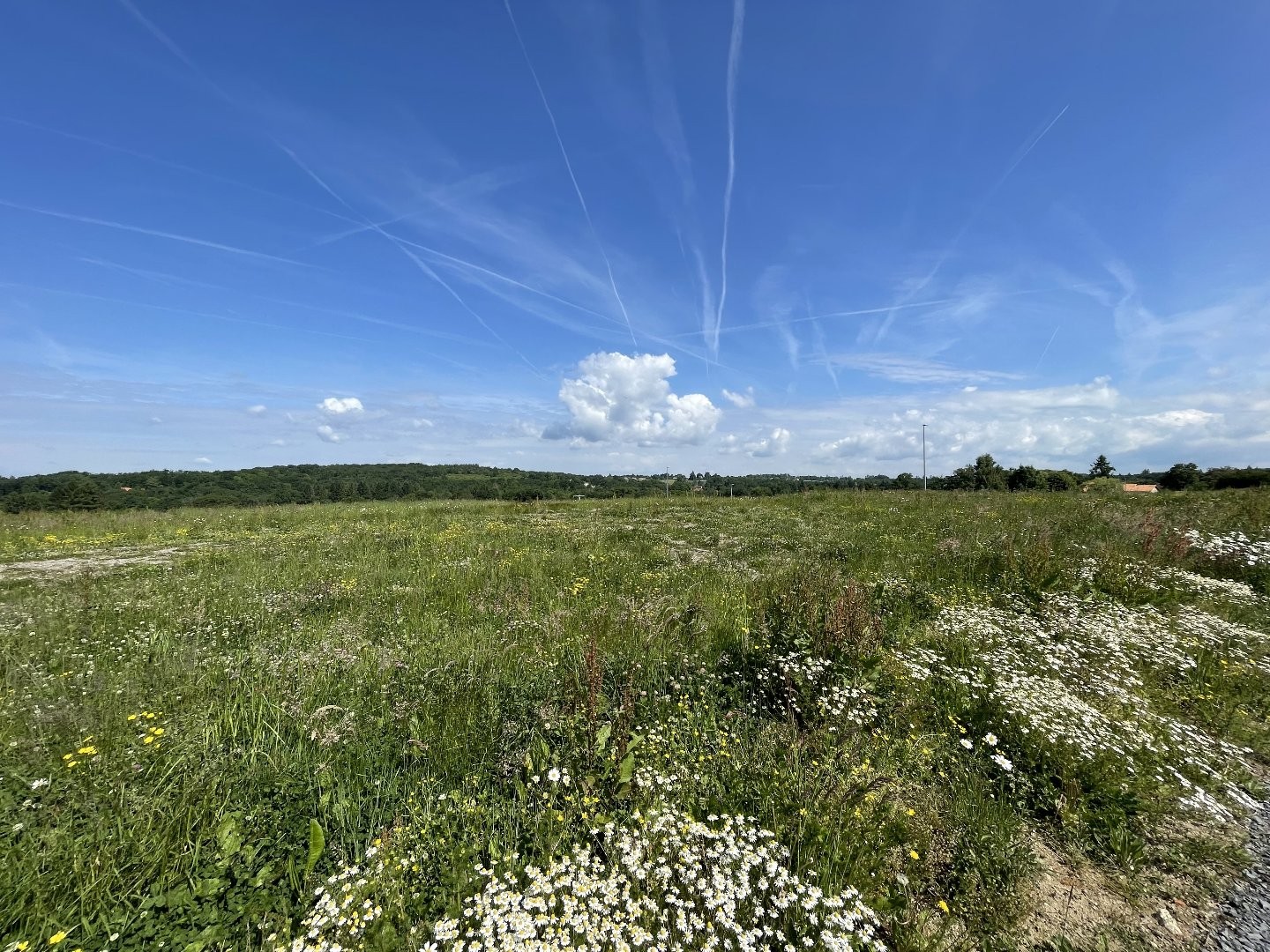 Terrain à vendre - 1213m2 - Feytiat (87220)