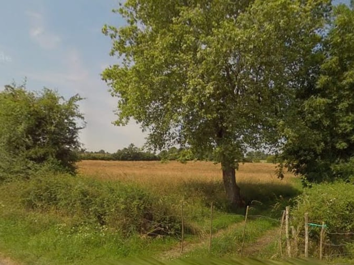 Terrain 140000 m²