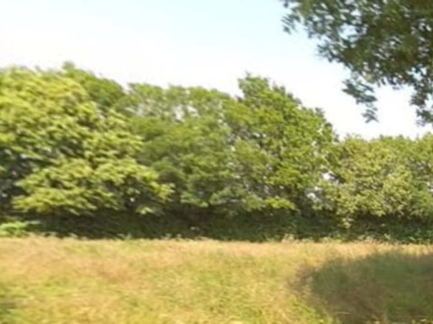 Terrain à vendre - 140000m2 - Bressuire (79300)