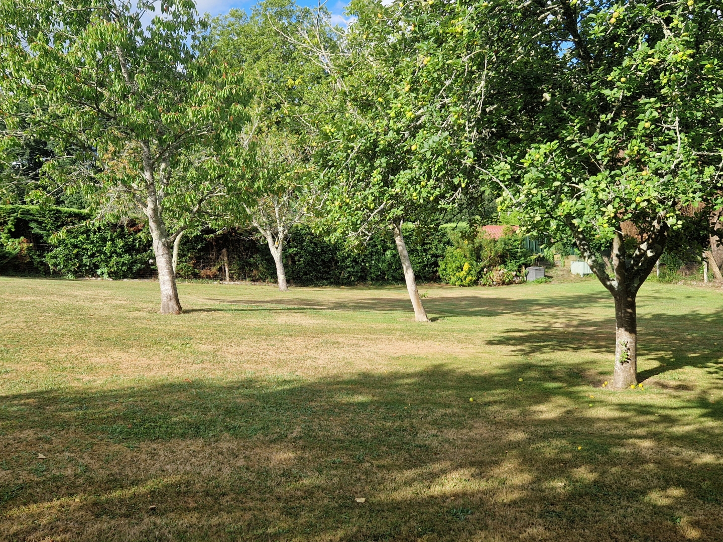Terrain en individuel 1001 m²