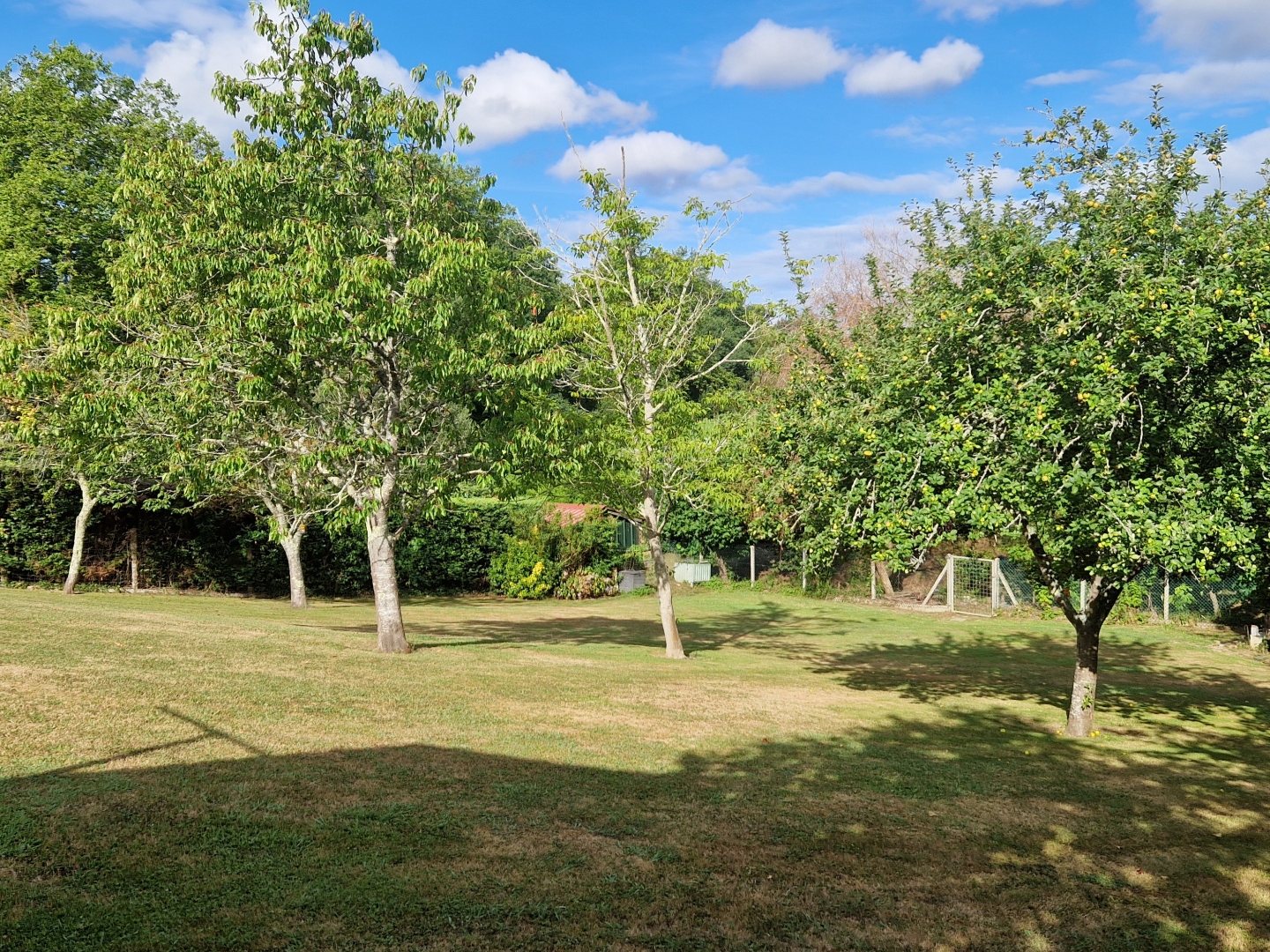 Terrain à vendre - 1001m2 - Saint-Martin-De-S... (40390)