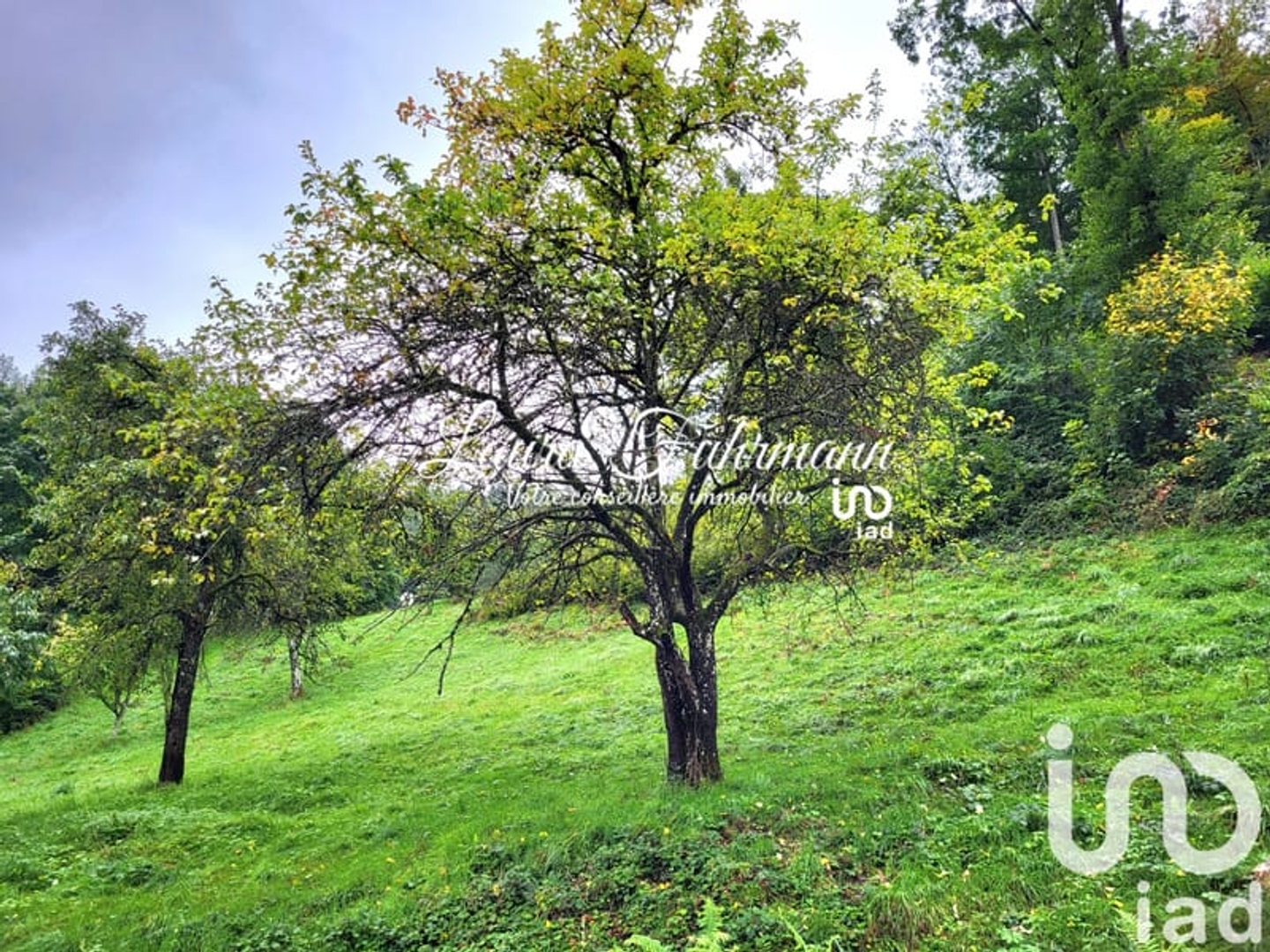 Maison à vendre - 5 pièces - 149m2 - Fréland (68240)