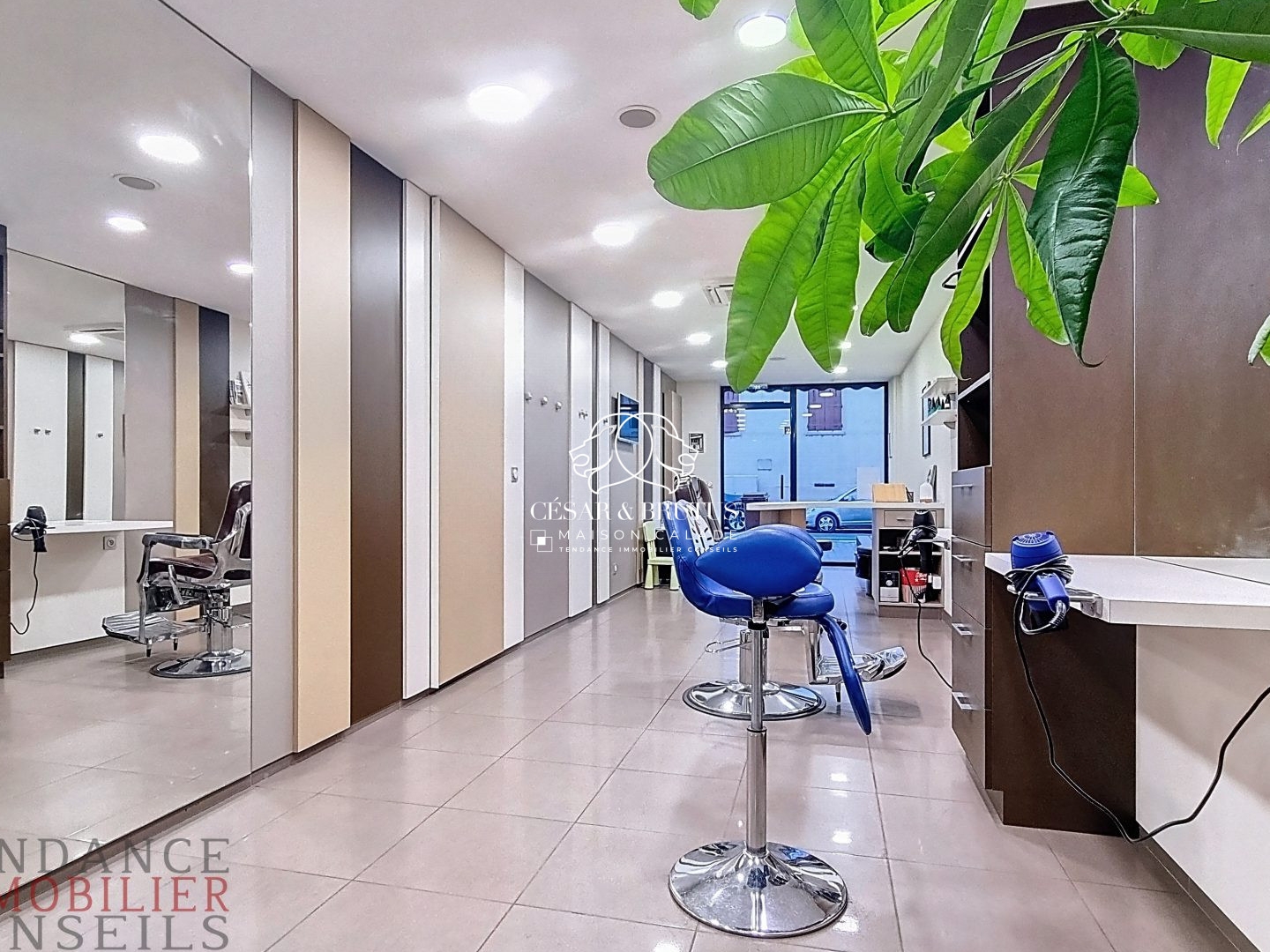 Local 43 m²