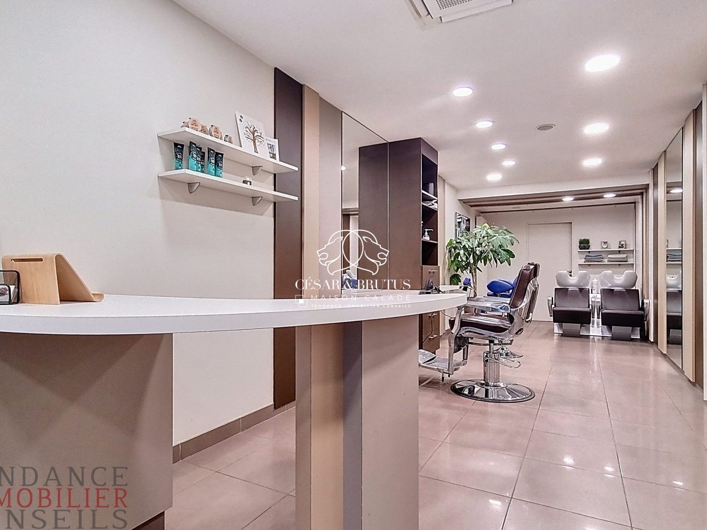 Locaux à vendre - 43m2 - Villefranche-Sur-... (69400)
