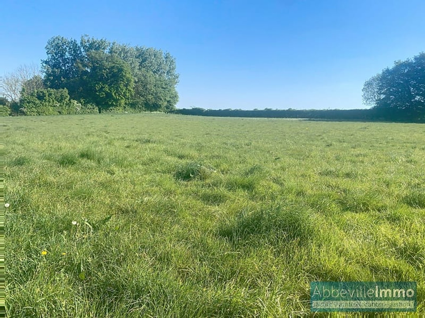 CRECY-EN-PONTHIEU, TERRAIN A BATIR AU CALME