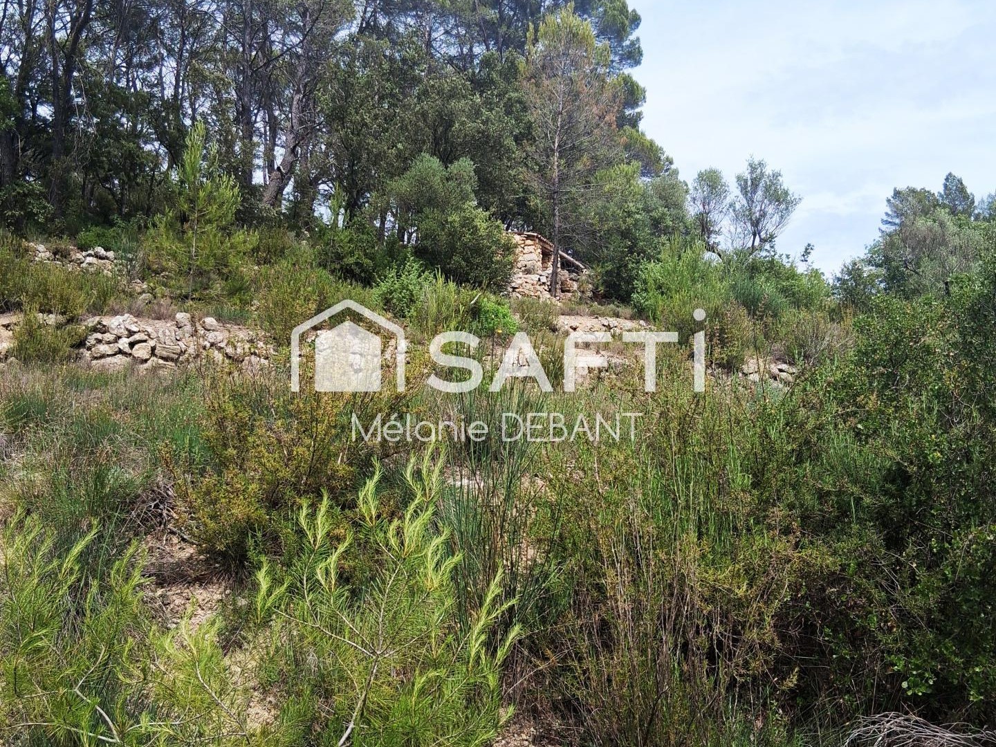 Terrain à vendre - 61137m2 - Entrecasteaux (83570)