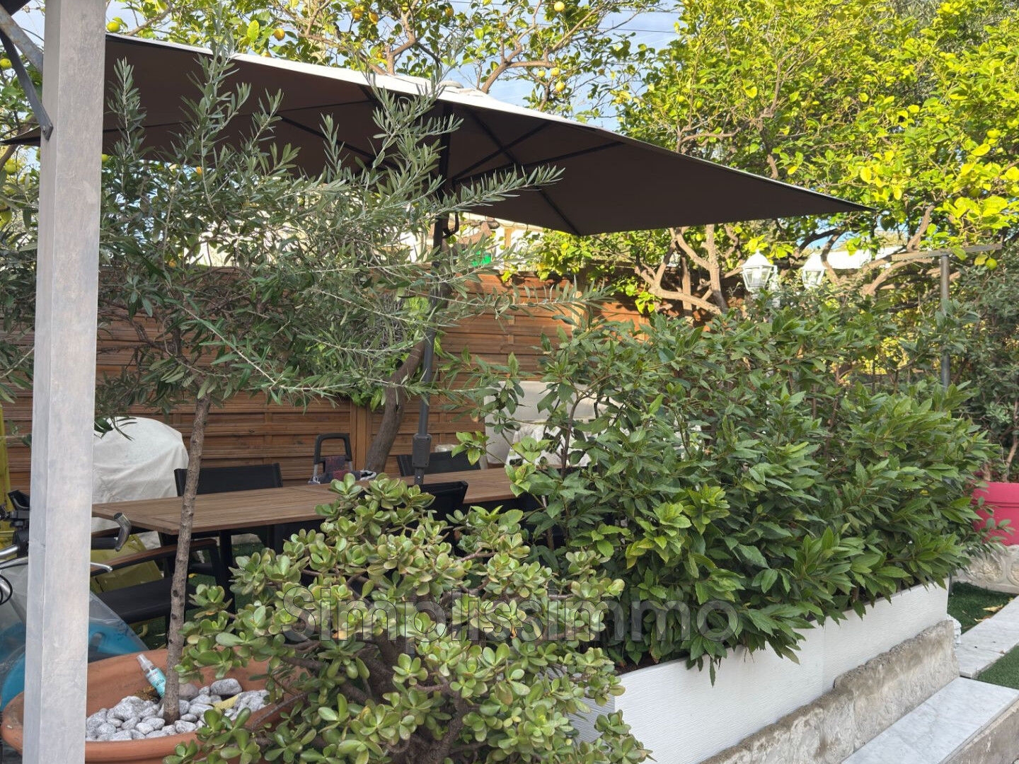 vente appartement