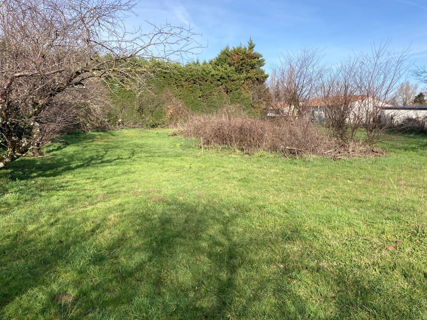 Terrain à vendre - 1200m2 - Revel (31250)