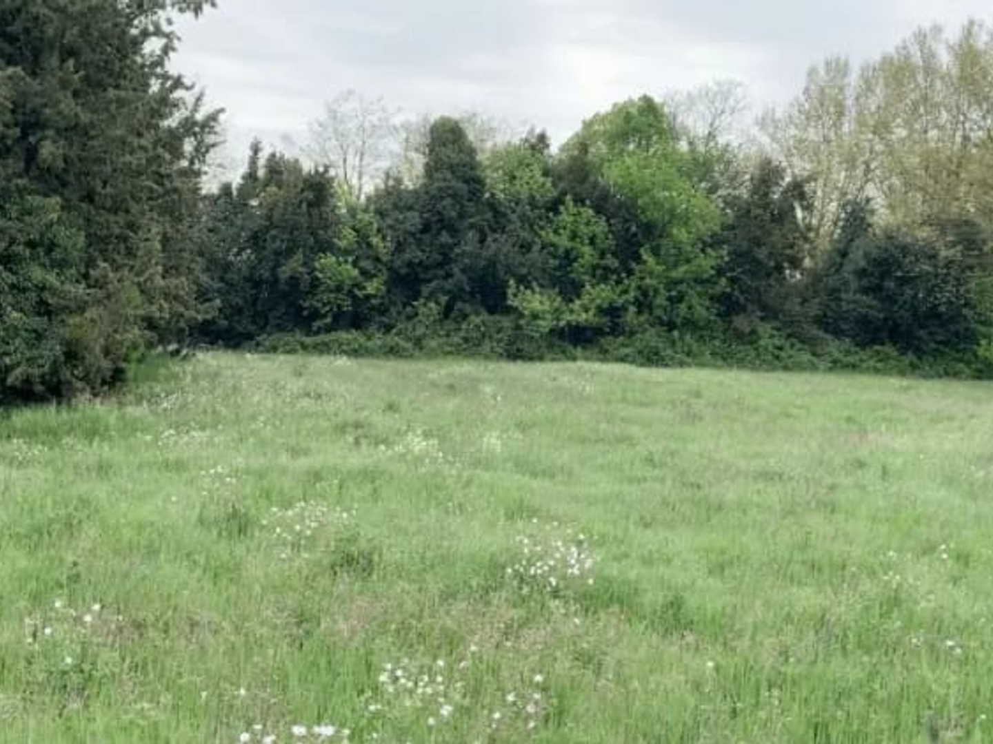 Maison 4 pièces 73 m²