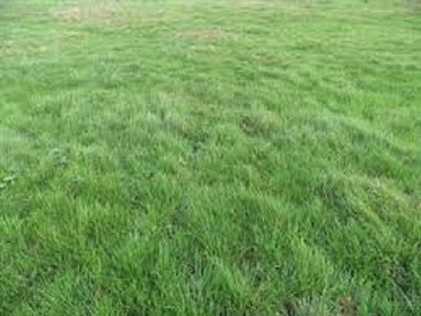 Terrain 1167 m²
