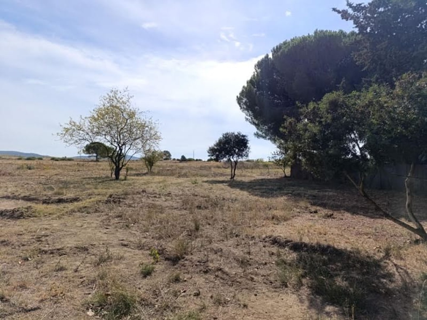 Terrain 350 m²