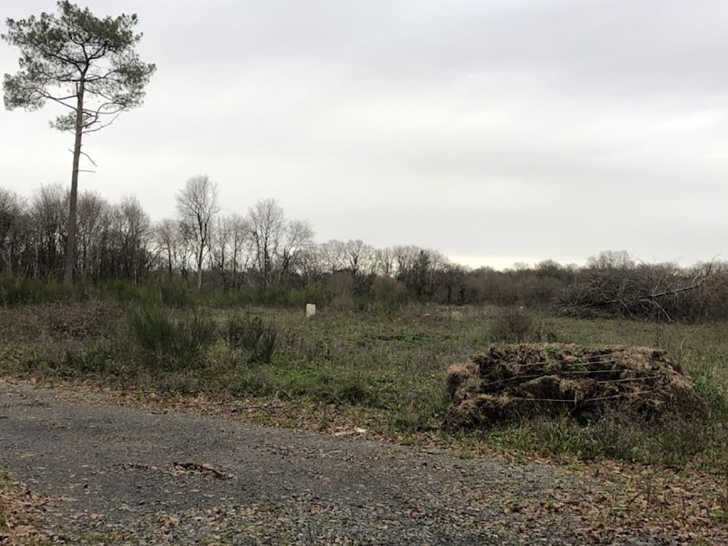 Terrain 942 m²