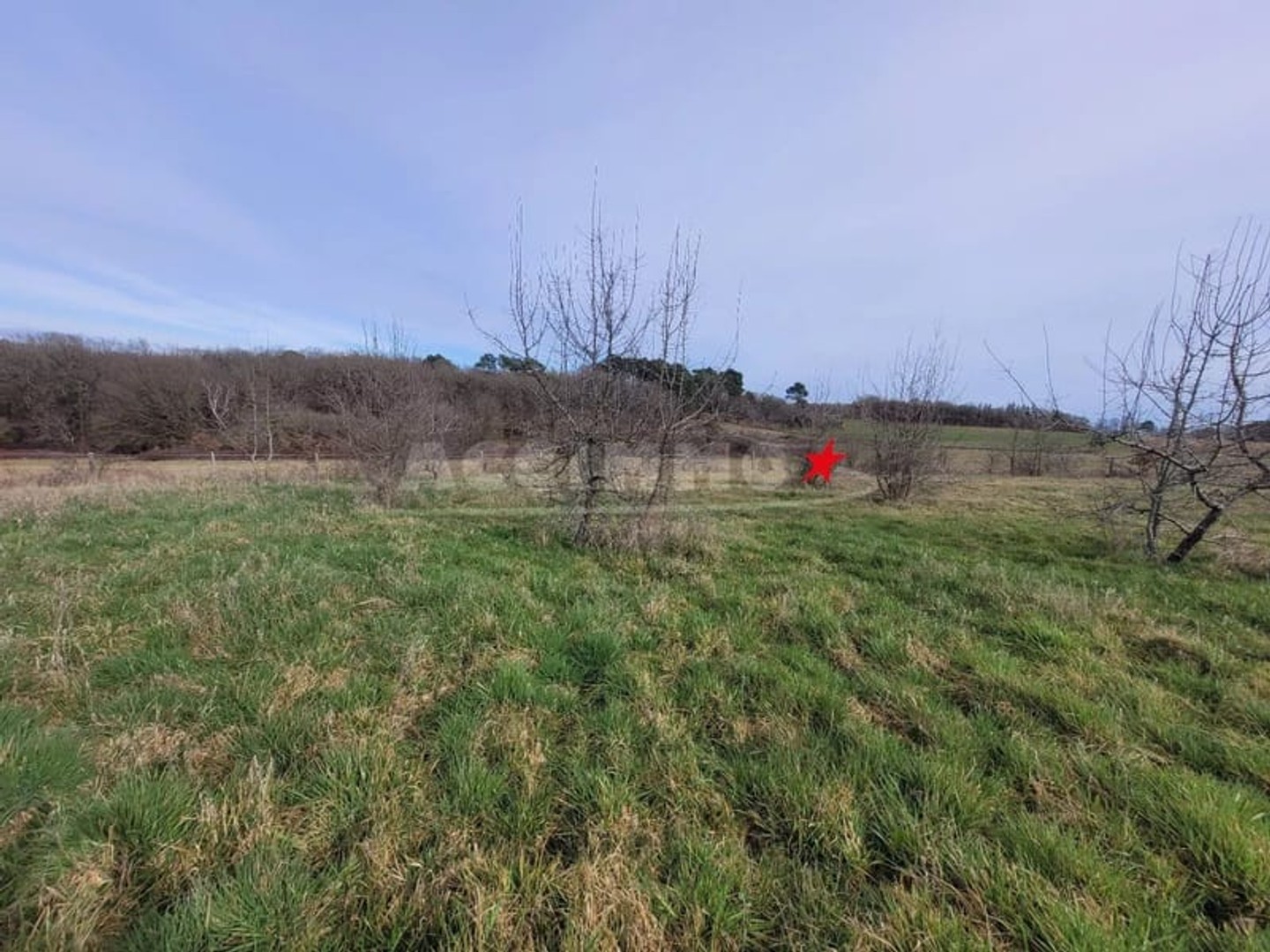Terrain à vendre - 60000m2 - Gaillac (81600)