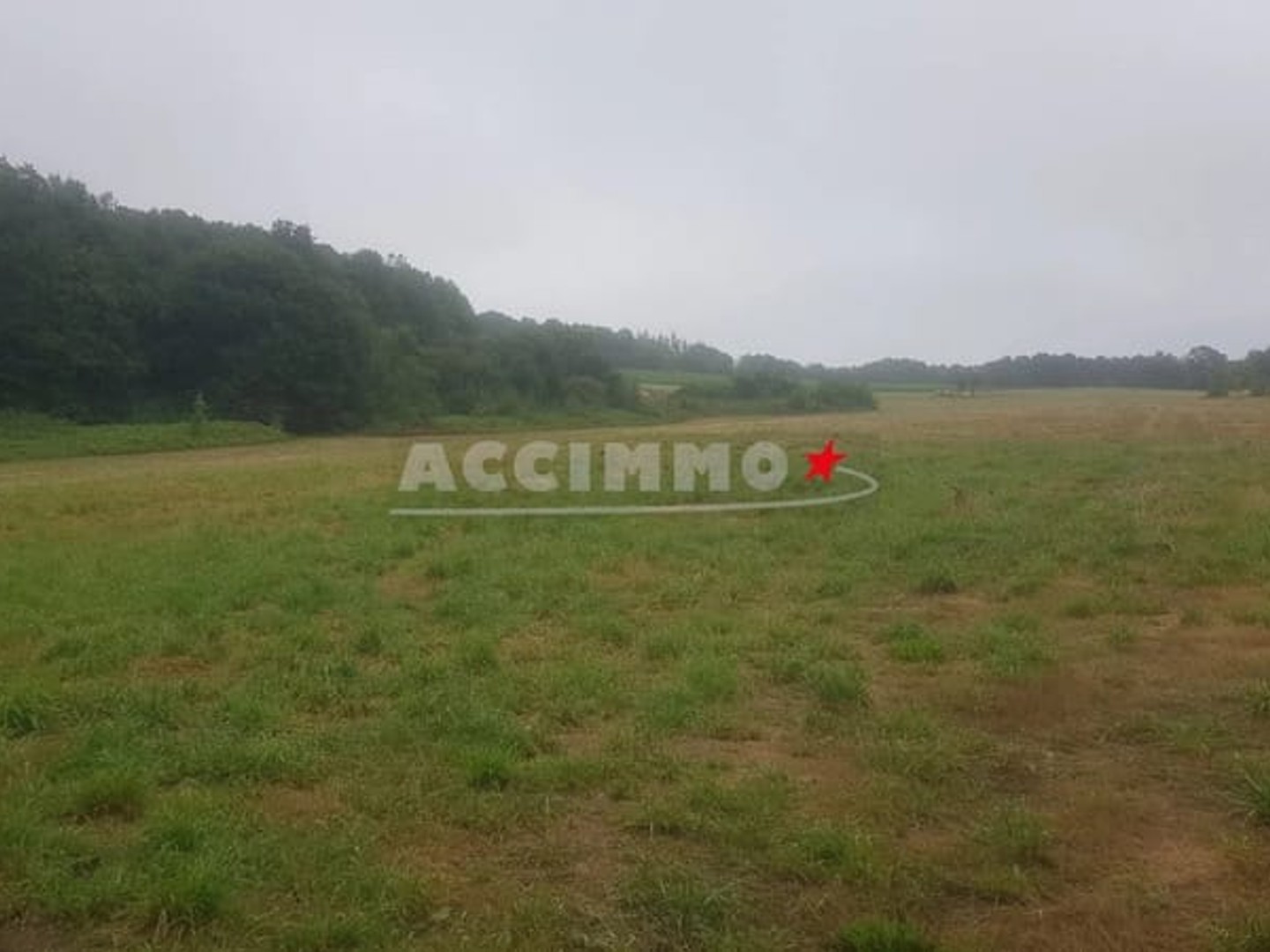 Terrain à vendre - 60000m2 - Gaillac (81600)