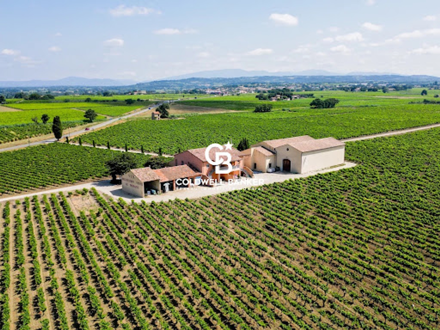 Vignoble 750000 m²