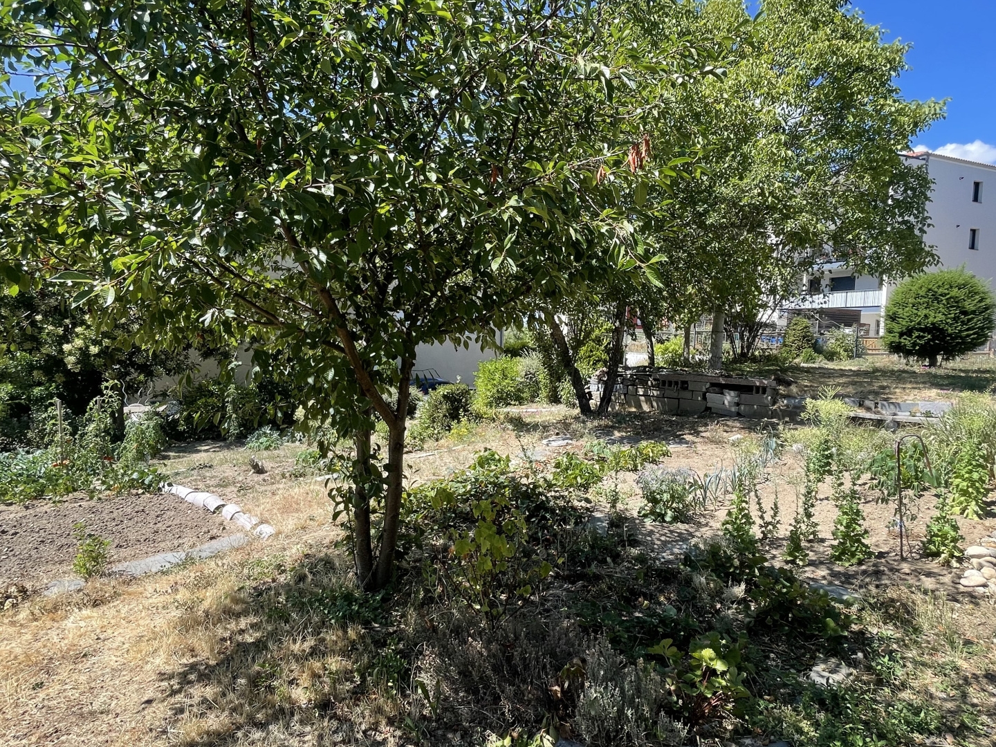 Terrain à vendre - 828m2 - Yssingeaux (43200)