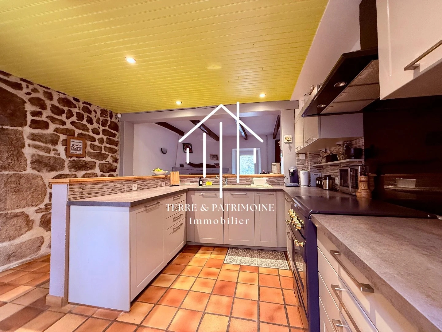 Maison à vendre - 10 pièces - 290m2 - Barnas (07330)