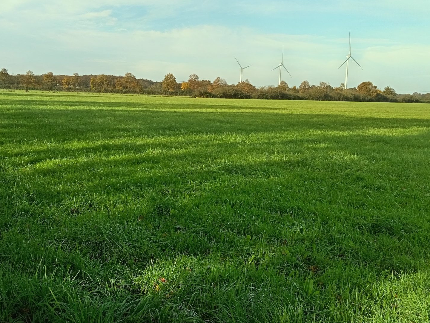 EXPLOITATION AGRICOLE