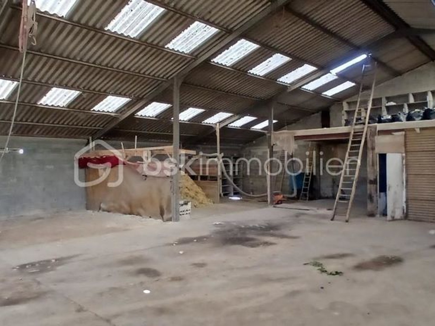 Locaux à vendre - 400m2 - Loiré-Sur-Nie (17470)
