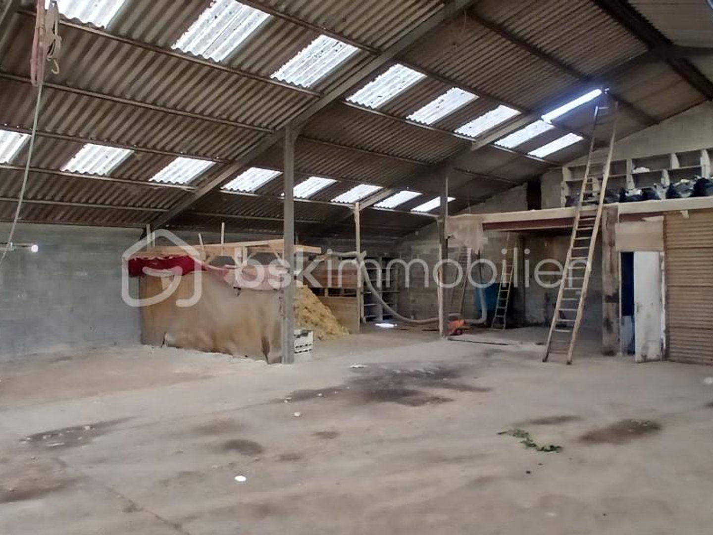 Locaux à vendre - 400m2 - Loiré-Sur-Nie (17470)