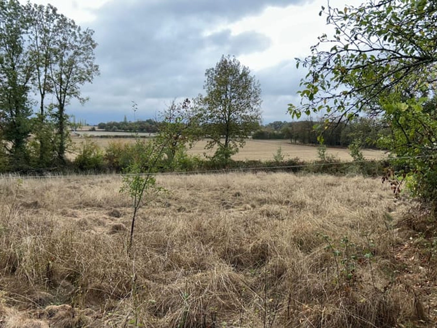 Maison à vendre - 2 pièces - 49m2 - Bouhy (58310)