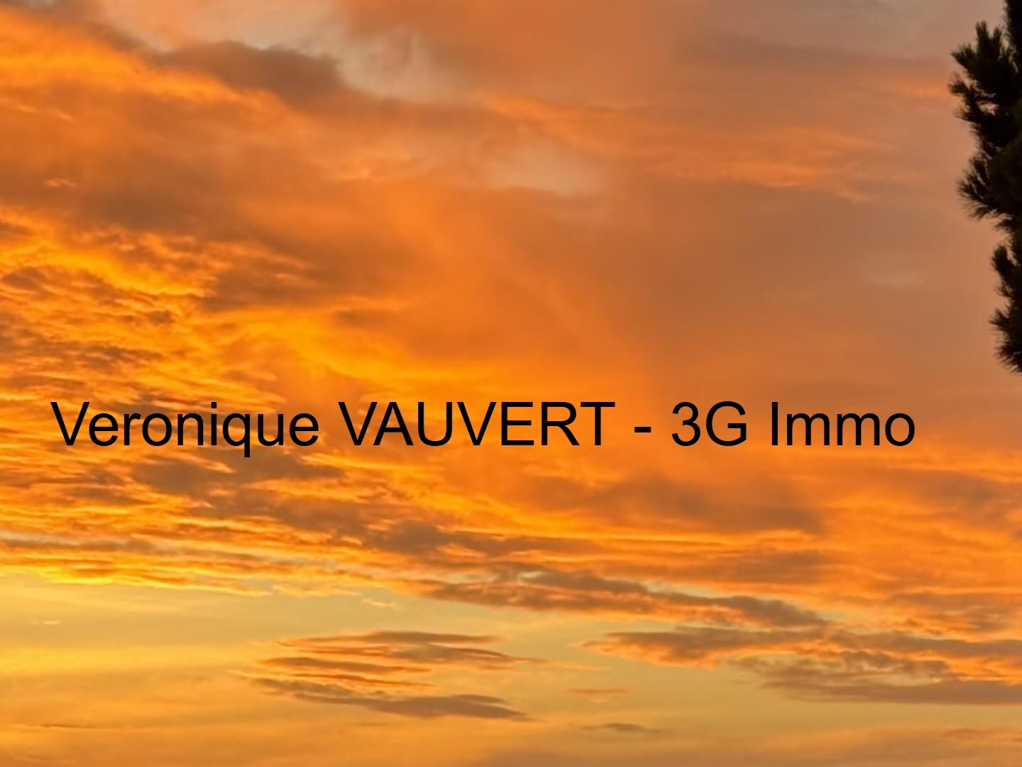 Magasin à vendre - 66m2 - Andernos-Les-Bains (33510)