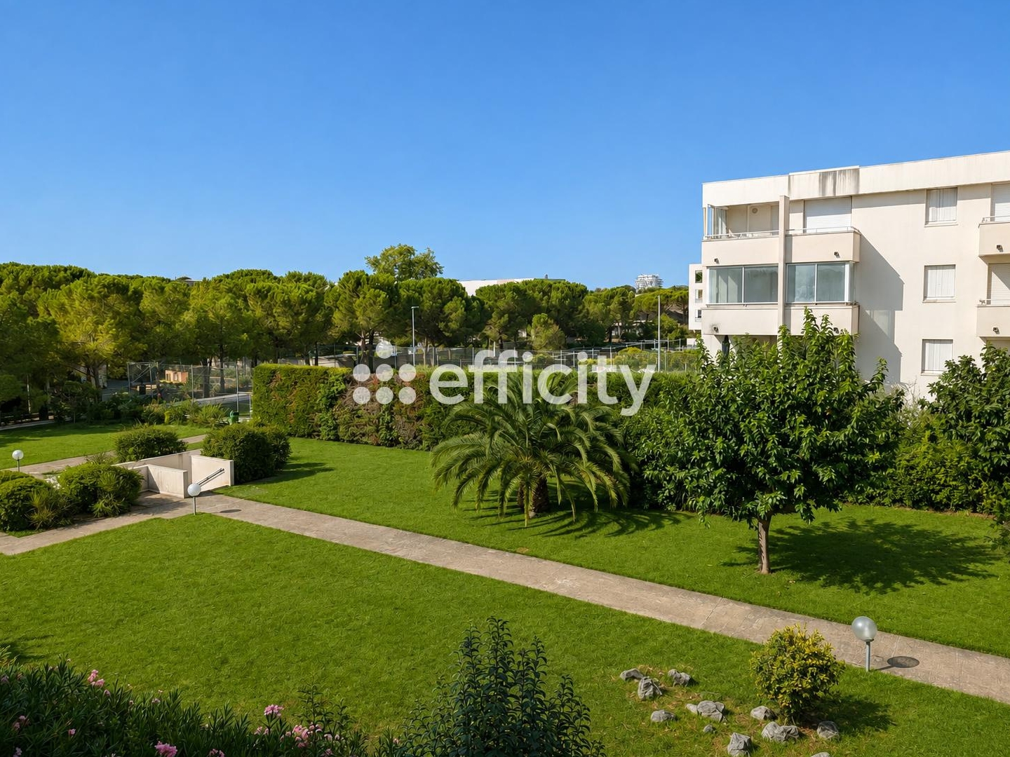 Appartement 2 pièces 50 m²