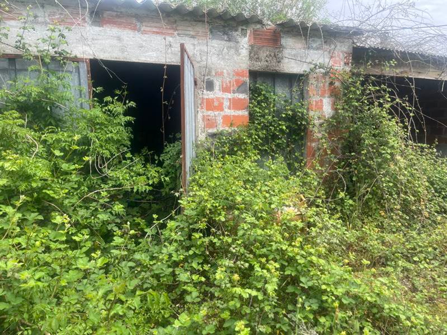 Maison à vendre - 4 pièces - 97m2 - Le Pizou (24700)