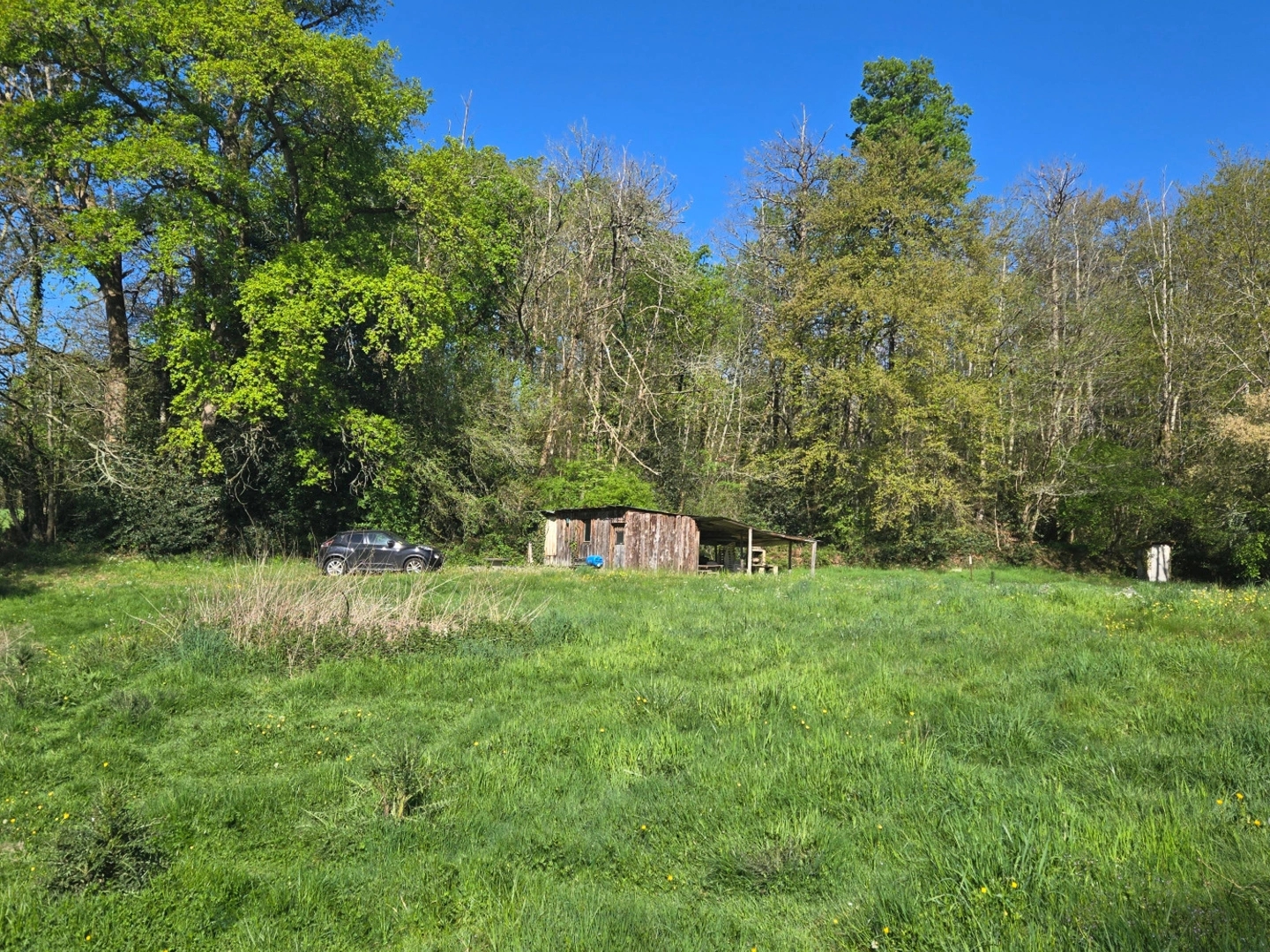 Terrain à vendre - 6225m2 - Saint-Yrieix-Sous... (87700)