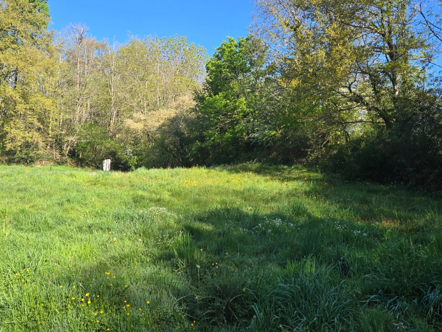 Terrain à vendre - 6225m2 - Saint-Yrieix-Sous... (87700)