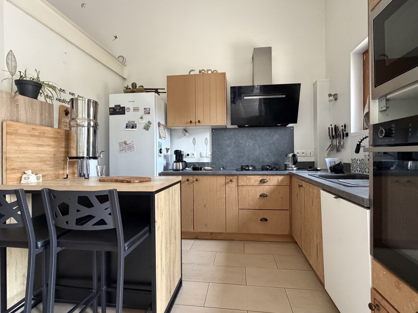 Maison à vendre - Frontenas (69620)