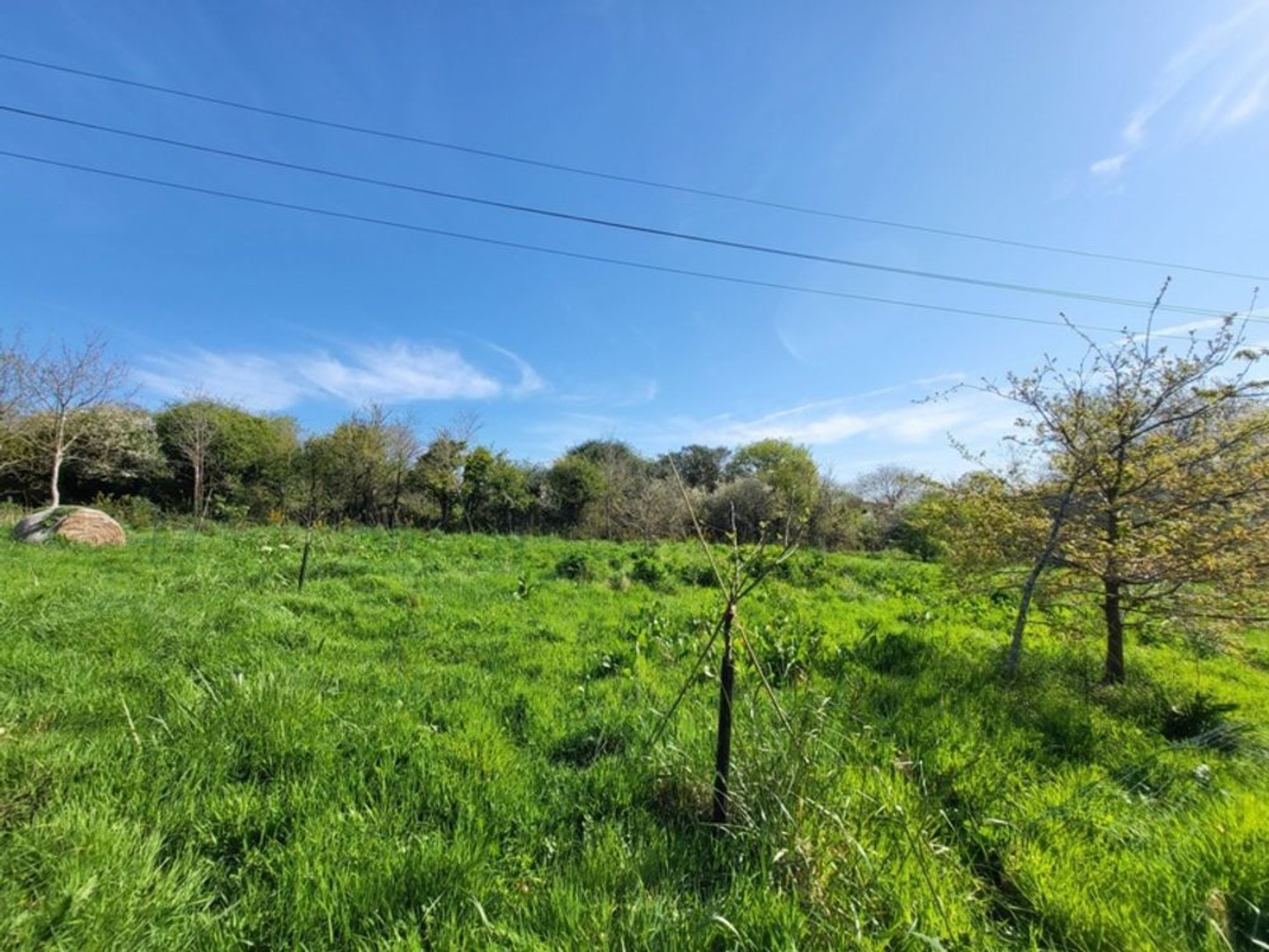 Bureaux à vendre - 520m2 - Crozon (29160)