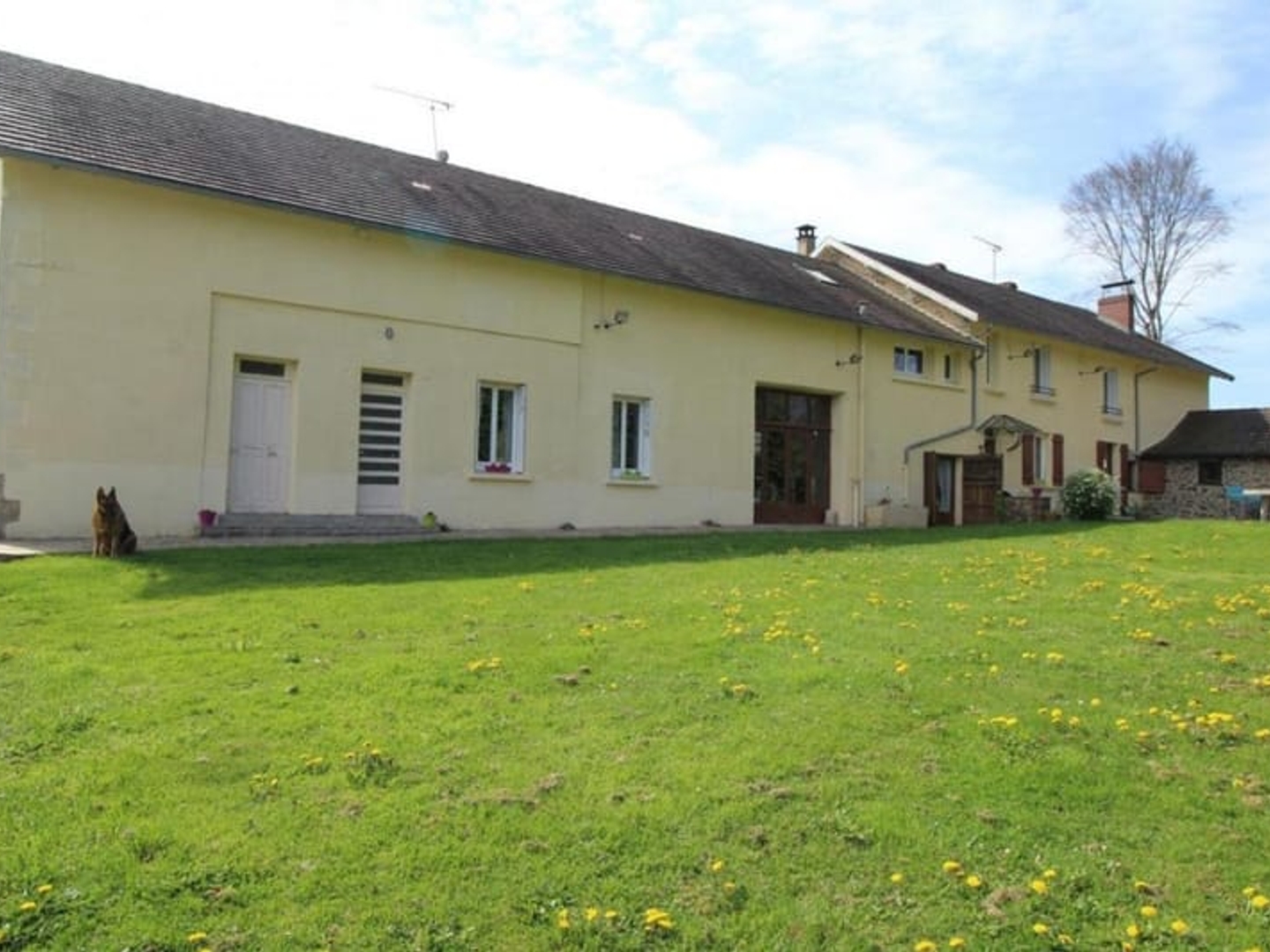 Locaux à vendre - 21 pièces - 600m2 - Les Billanges (87340)