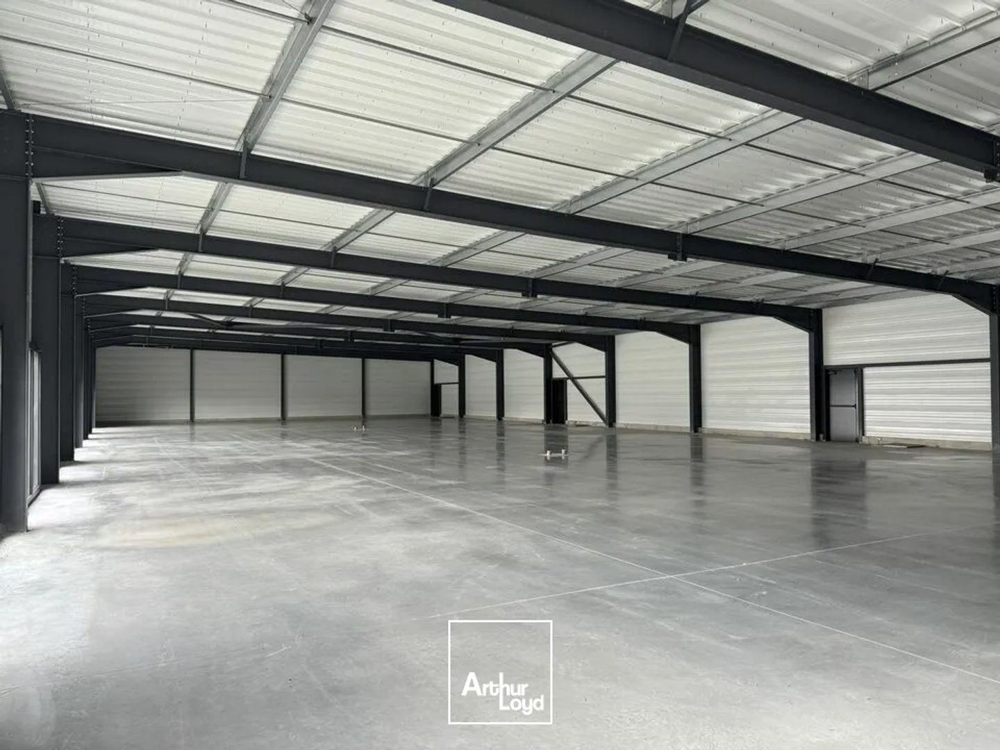Locaux à vendre - 600m2 - Montbazon (37250)