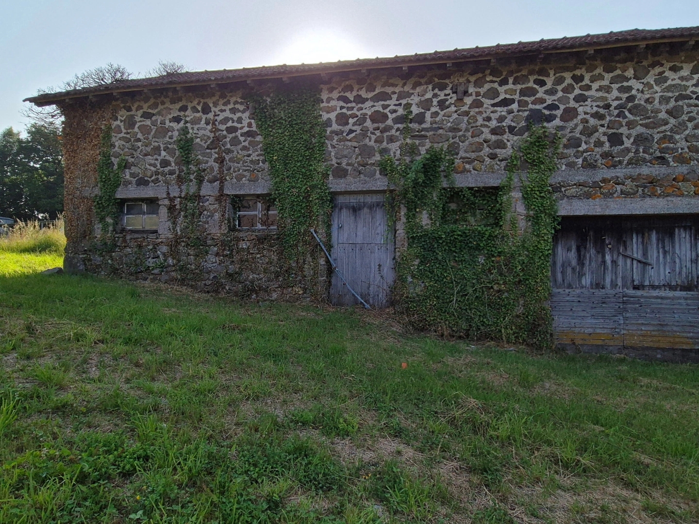 Maison à vendre - 2 pièces - 175m2 - Ayrens (15250)
