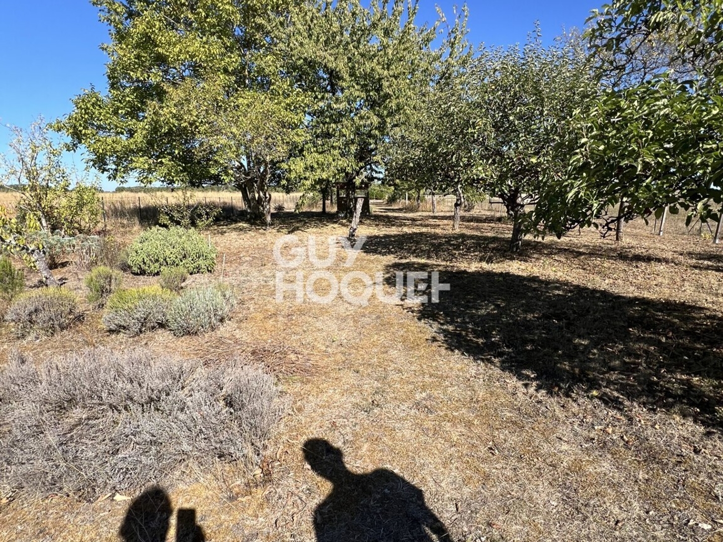 Maison à vendre - 7 pièces - 145m2 - Ury (77760)