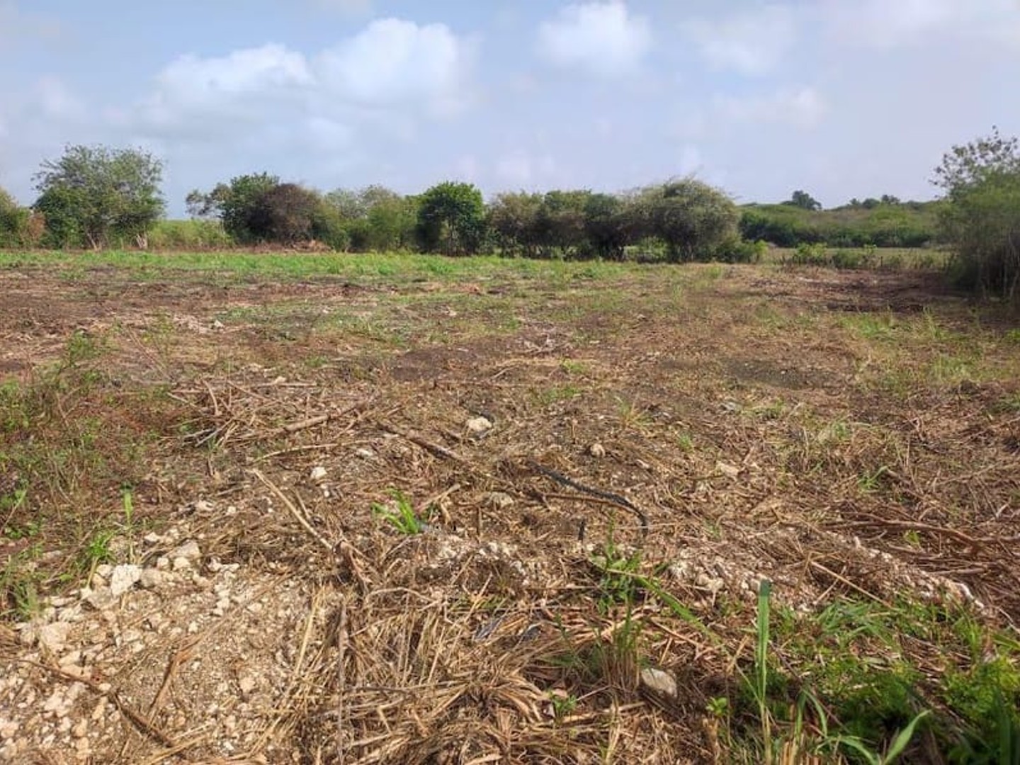 Terrain à bâtir 2154 m²