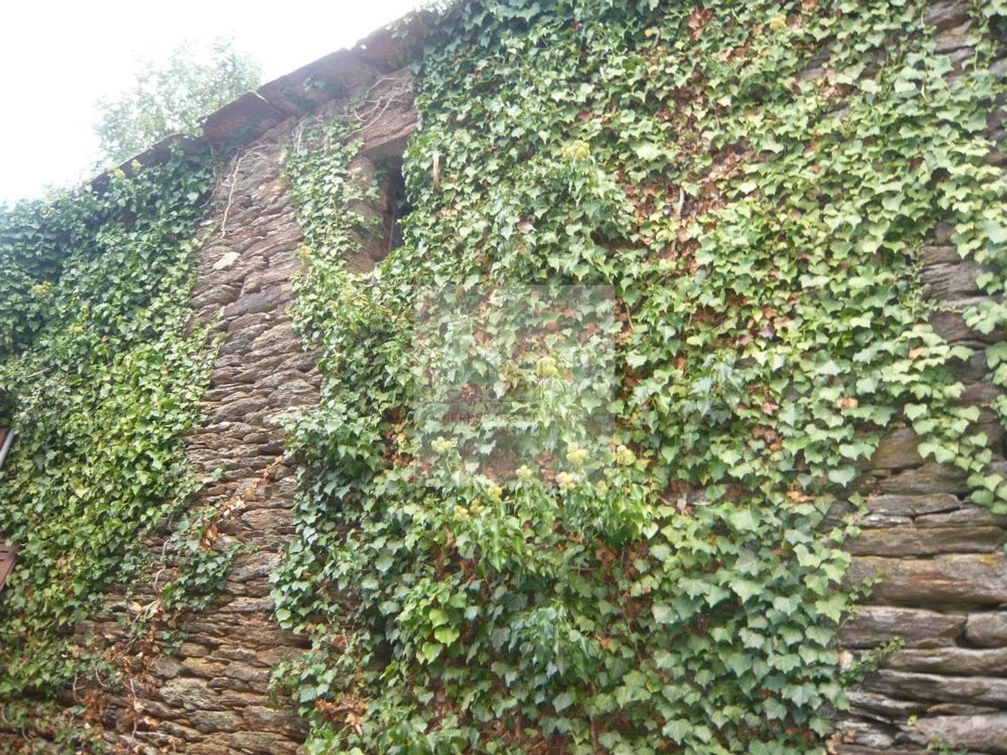 Maison avec terrain